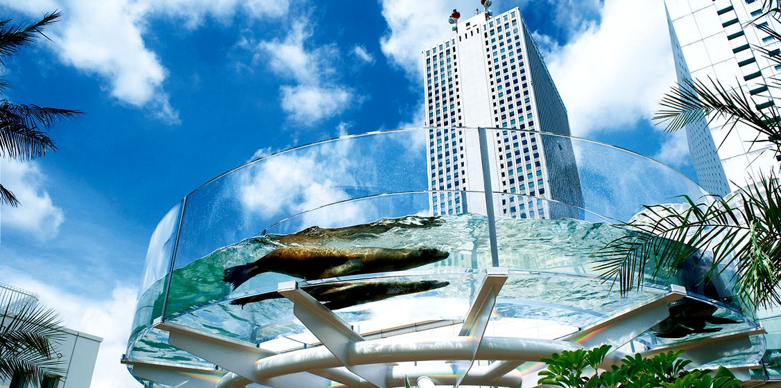 4 BEST Aquariums in central Tokyo, Japan Traveling Tokyo with Kids
