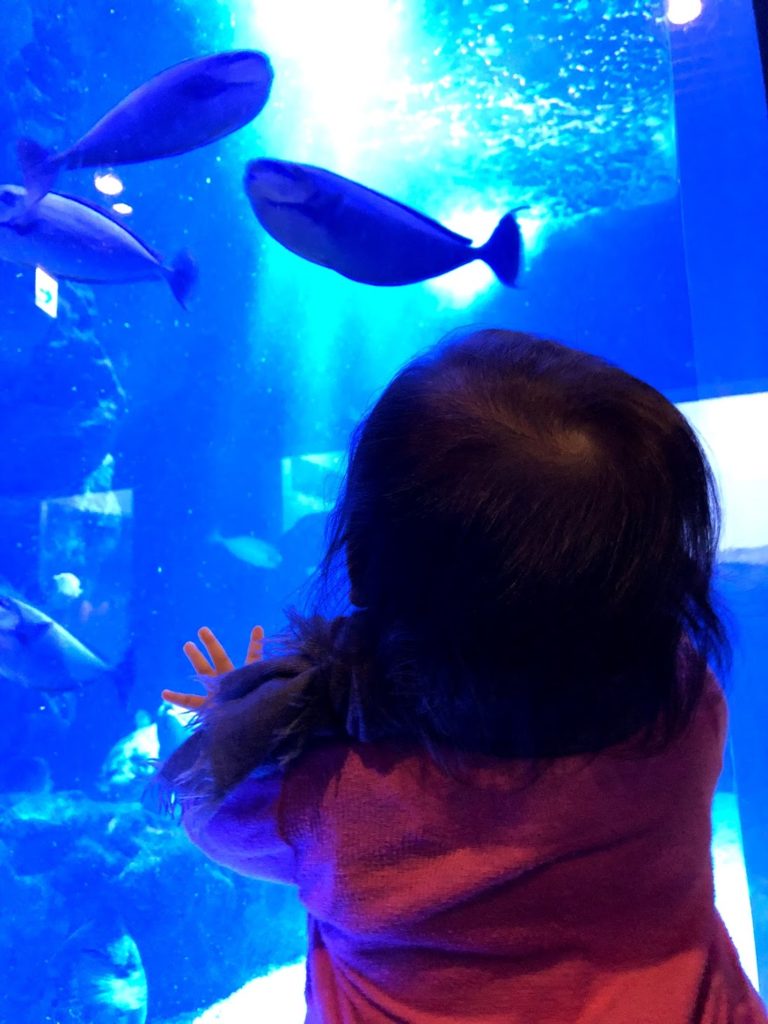 Sumida aquarium