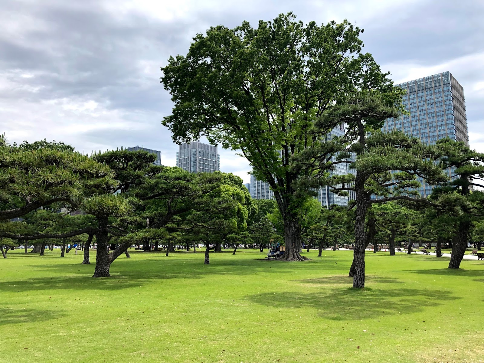 Imperial palace garden