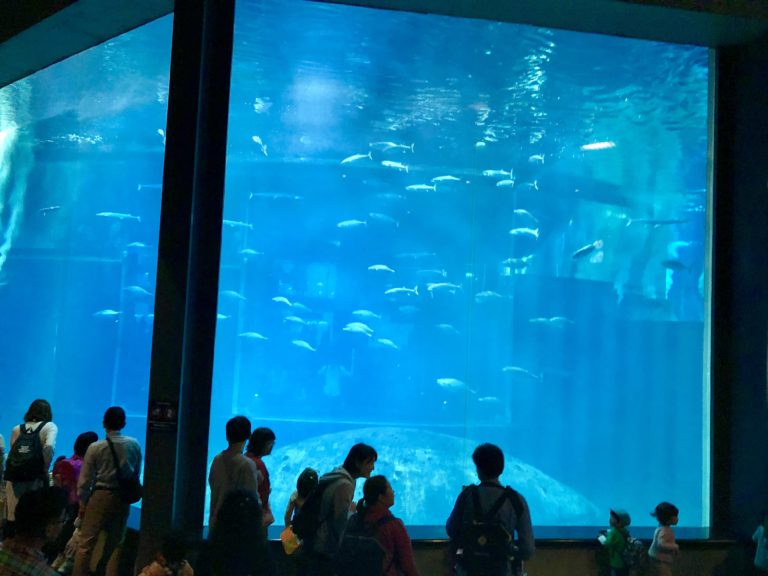 4 BEST Aquariums in central Tokyo, Japan Traveling Tokyo with Baby/Kids